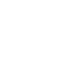 Pleiq